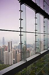 老虎直播：财经达人直播认证攻略，掌握投资先机